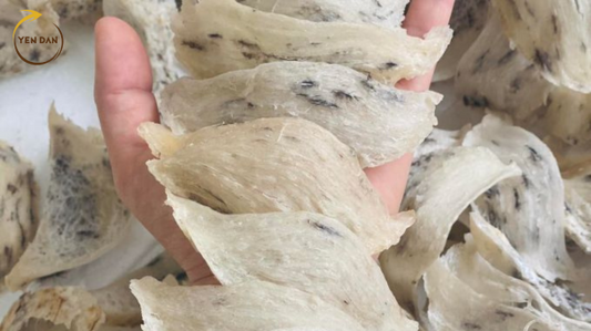 Tổ yến khô để tủ lạnh được bao lâu?