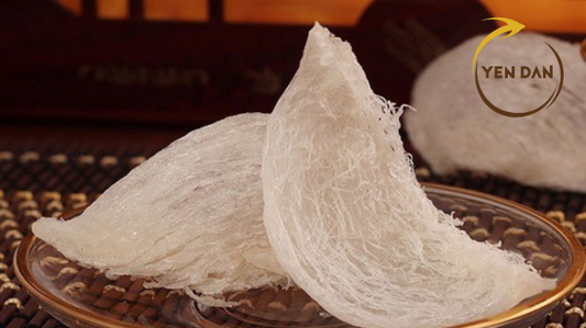 Ăn tổ yến có béo không?