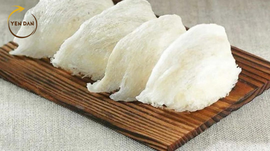 Mua Bạch Yến Tinh Chế Ở Đâu Uy Tín Chất Lượng?