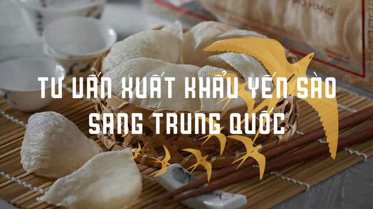 Xuất khẩu tổ yến sang trung quốc cần chuẩn bị những gì?