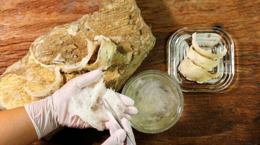 Cách nhặt lông tổ yến đơn giản tại nhà?